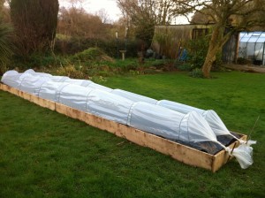 new raised bed with cloches