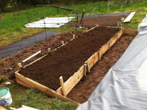 The first raised bed awaiting black mulch and planting with beans and a few heirloom potatoes