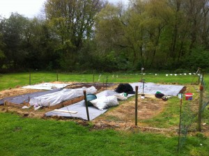 Already starting to look more like a vegetable garden