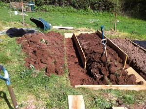 The first raised bed under construction