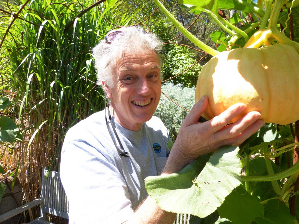 St Erth's pumpkin med res